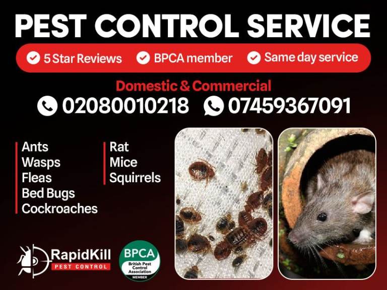 Pest Control Mice Rats Bedbugs ants Cockroaches extermination Mouse london urgent pest control