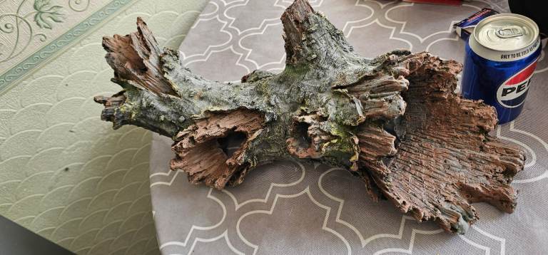 Tree Log Decor
