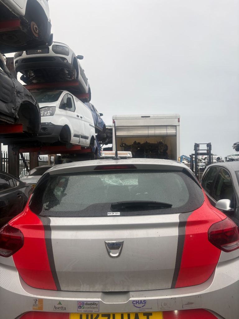 2020-2025 Dacia Sandero Comfort Complete Rear Tailgate