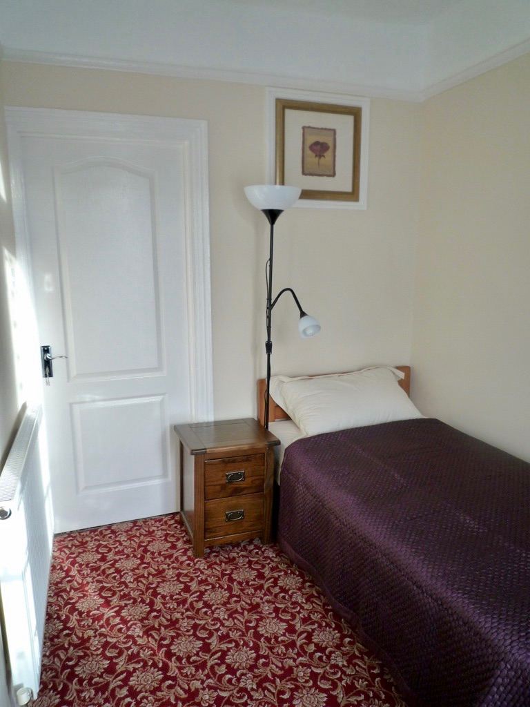 Clean and Tidy Single BedRoom for people in Professional occupation.