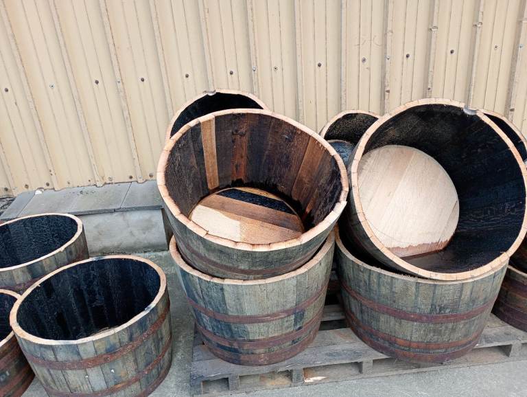 Half barrel - planters 