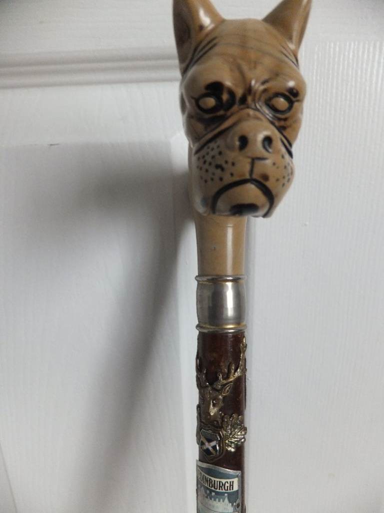 Boxer Dog Head Bakelite Handled vintage Walking Stick includes 13 Badges see images signs