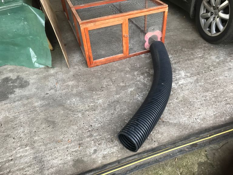 Guinea Pig/Rabbit Pen