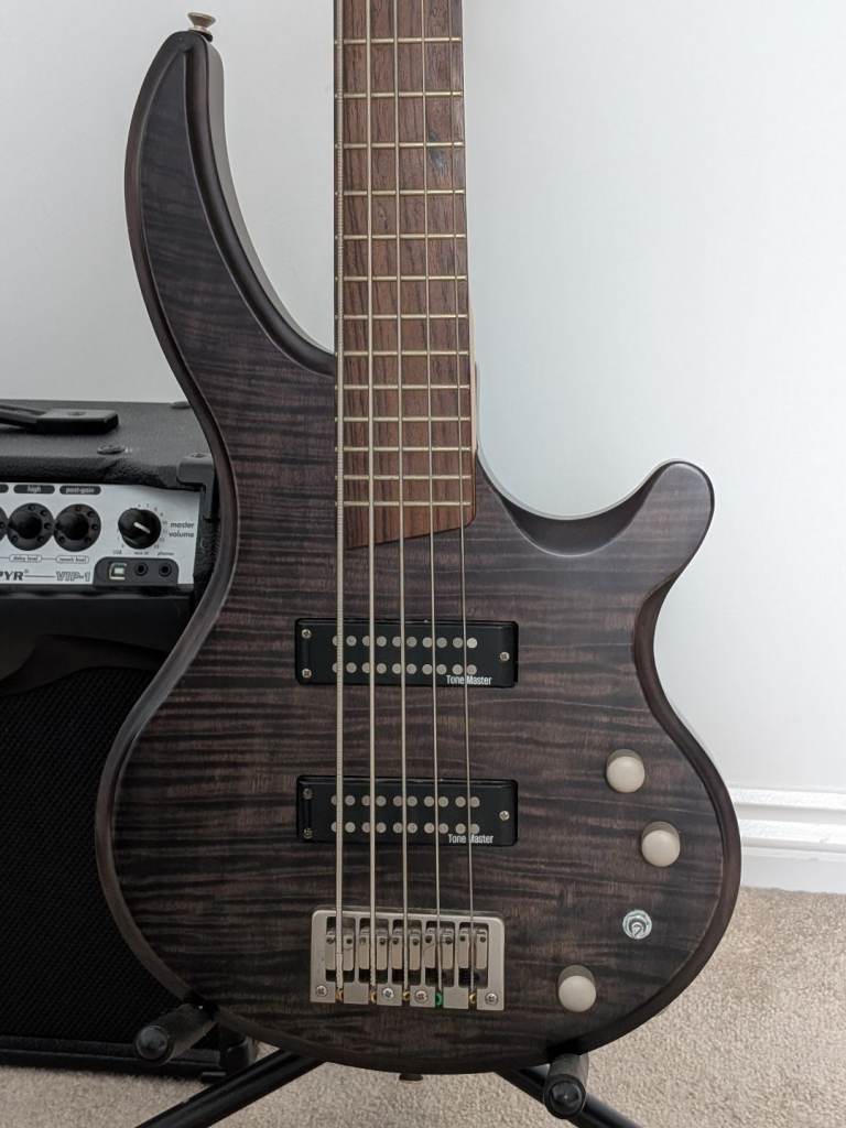 🎸🔥 5-String Bass Guitar + Peavey VIP-1 Multi-Instrument Amp Bundle – Plug-In & Play Setup – £250