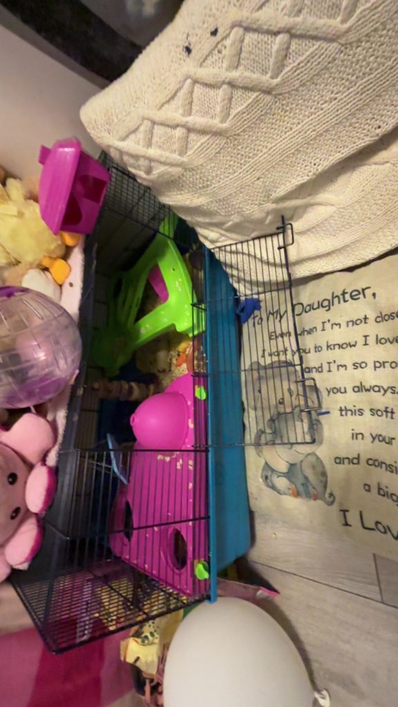 hamster n cage. 