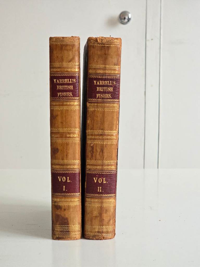 1836 Antique Rare Georgian Era History of British Fishes Books w/ Engraved Prints 1st Ed 2 Volumes