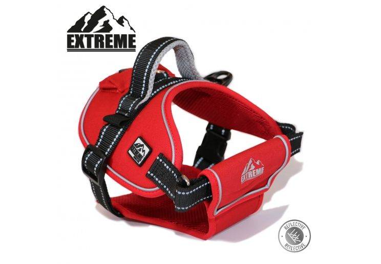 Ancol Extreme Dog Harness Medium Red