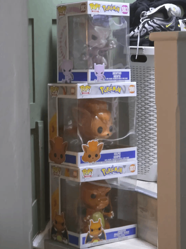 WANTED : POP FIGURES