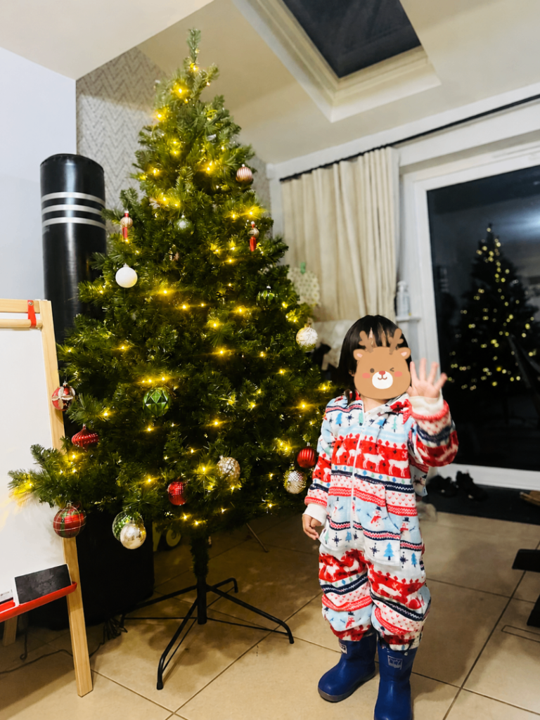 Christmas Tree with Lights and Decorations