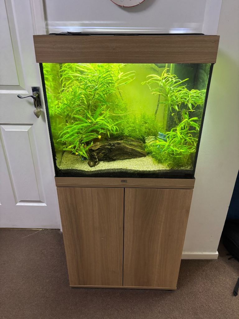 Fish tank 2foot wide with cabinet