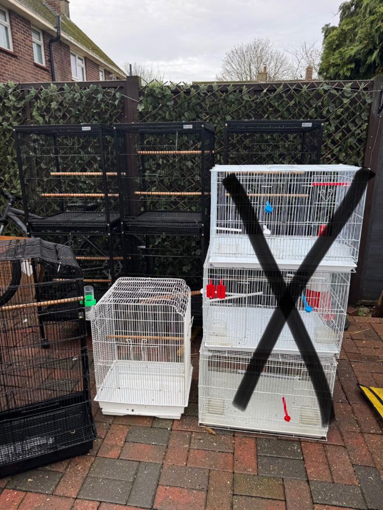 Bird cages mixed 