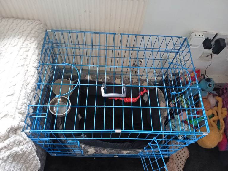 Medium blue dog cage 