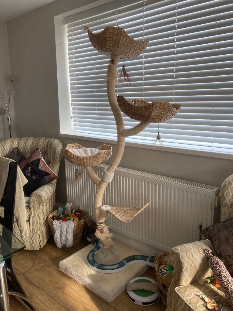 Large Cream Flower Cat Tree, £50 🚚 Delivered