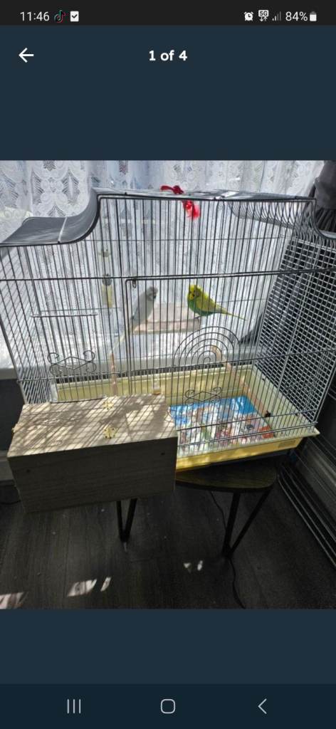 Budgie cage