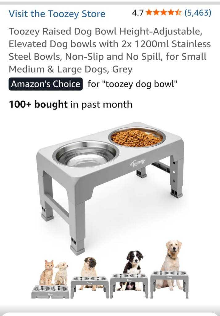 Dog bowls 