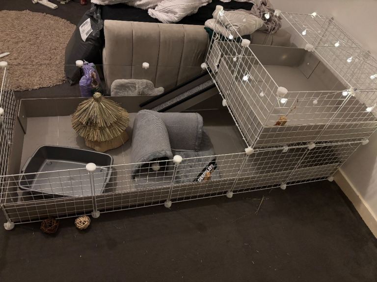Brand New Guinea pig cage