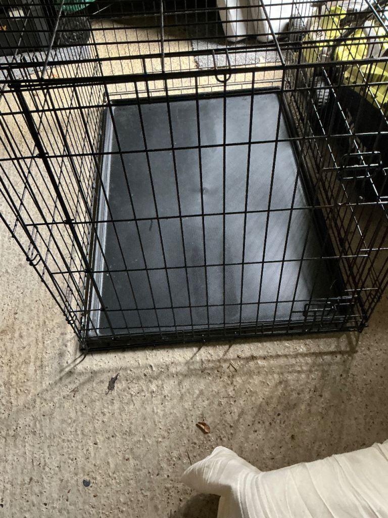 Black metal dog crate with plastic tray