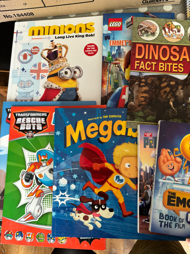 Boys collection of books