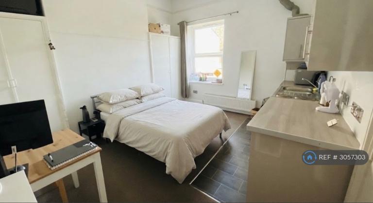 Studio flat in Iffley Road, Oxford, OX4 (#3057303)