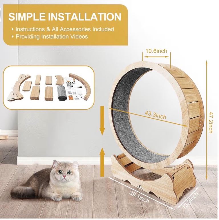 XL cat wheel