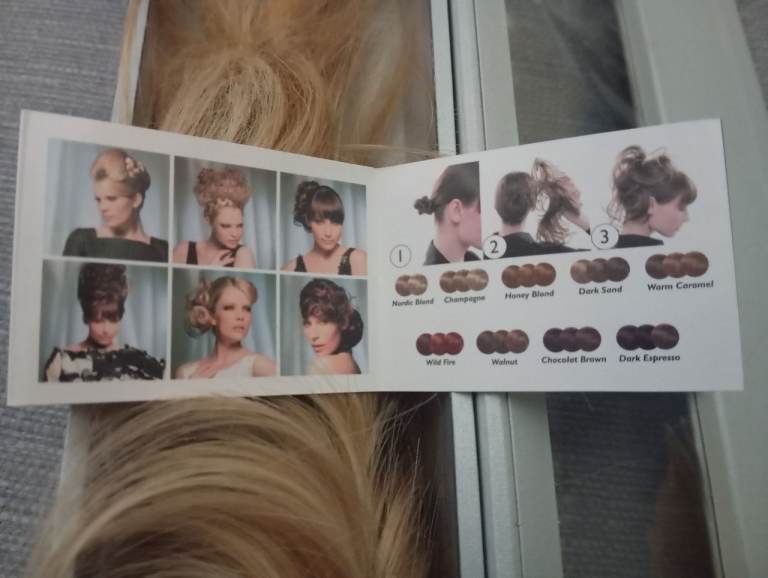 Balmain Hair clip with Hair