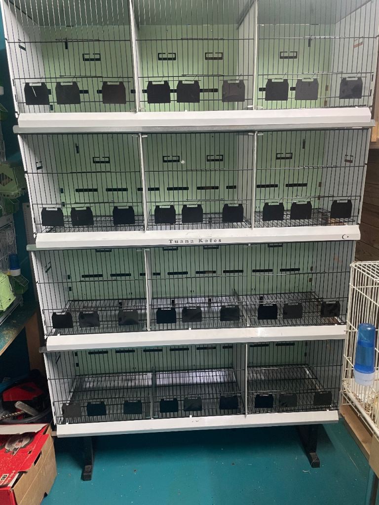 Canary breeding cages 
