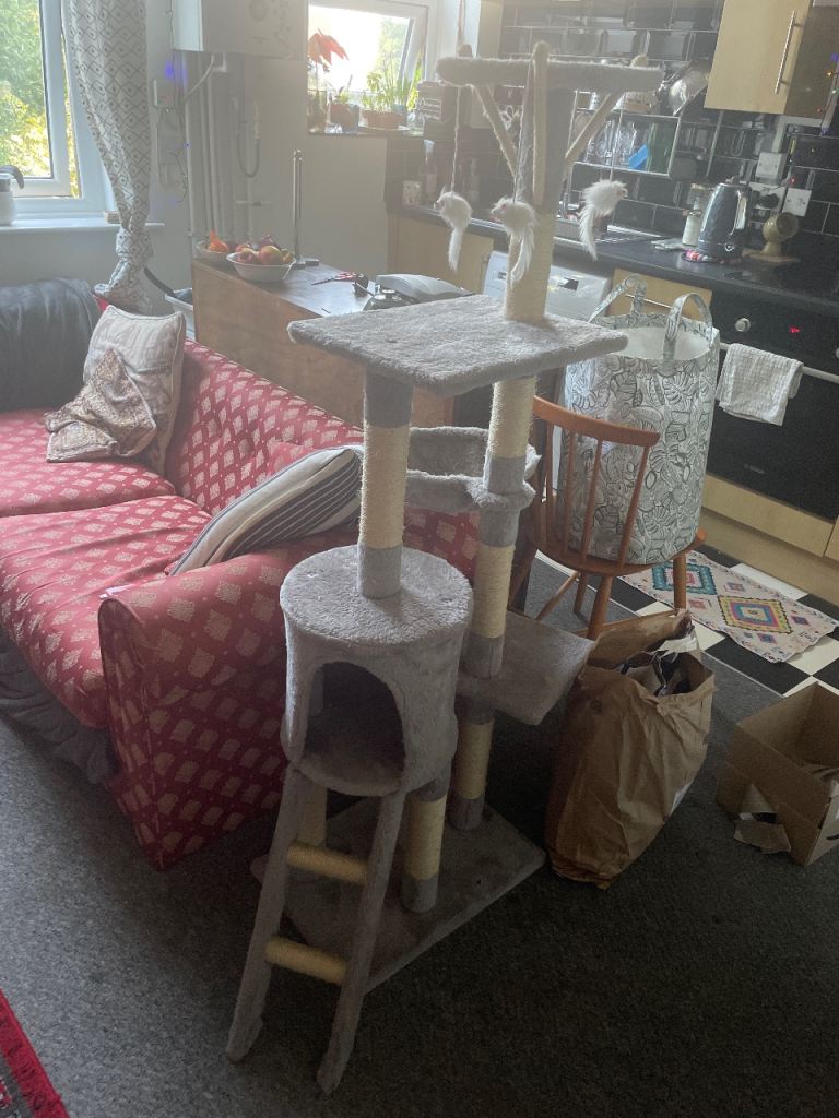 Large 145cm multi-level cat tree
