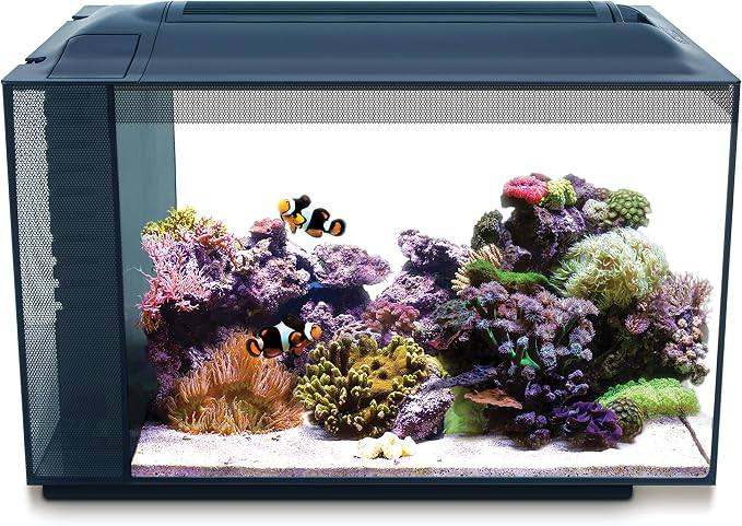Fluval Sea Evo XII Marine fish tank with heater pump and live rock 