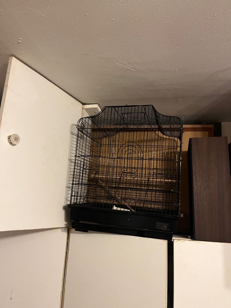 Large birdcage 