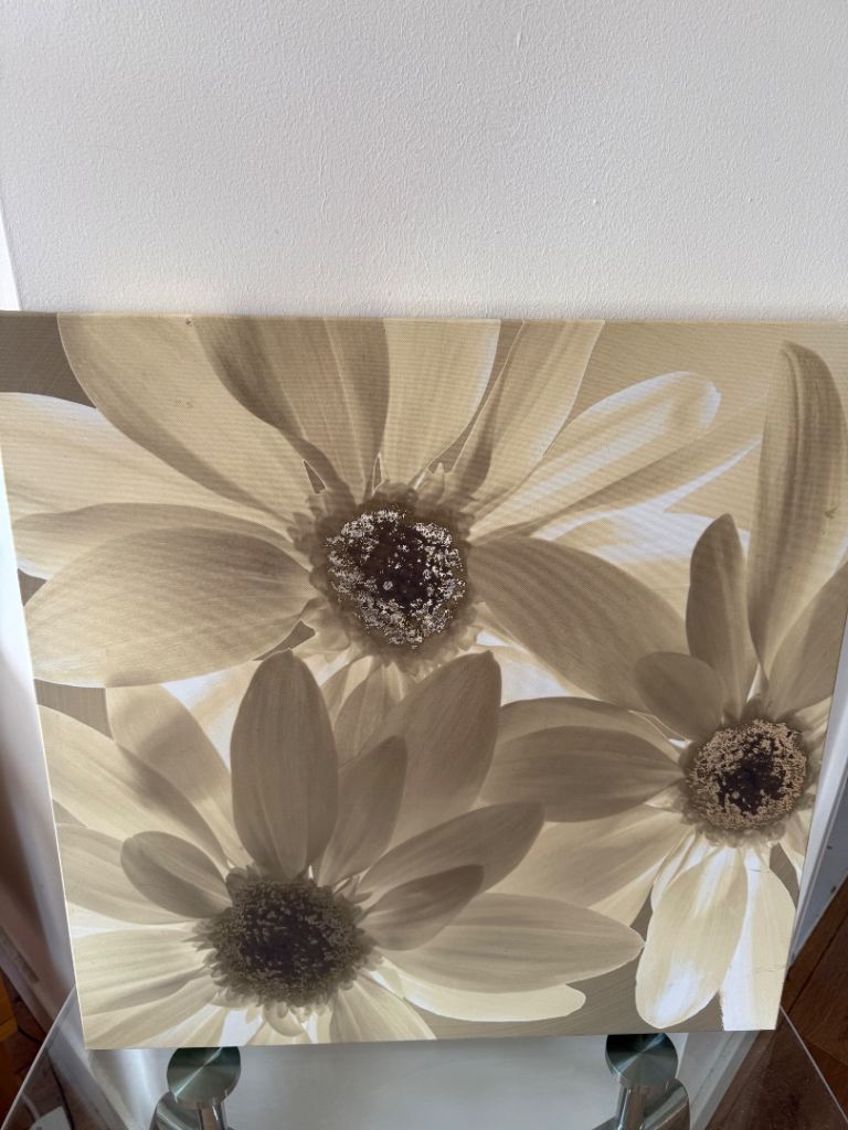 Wall Hanging Picture 