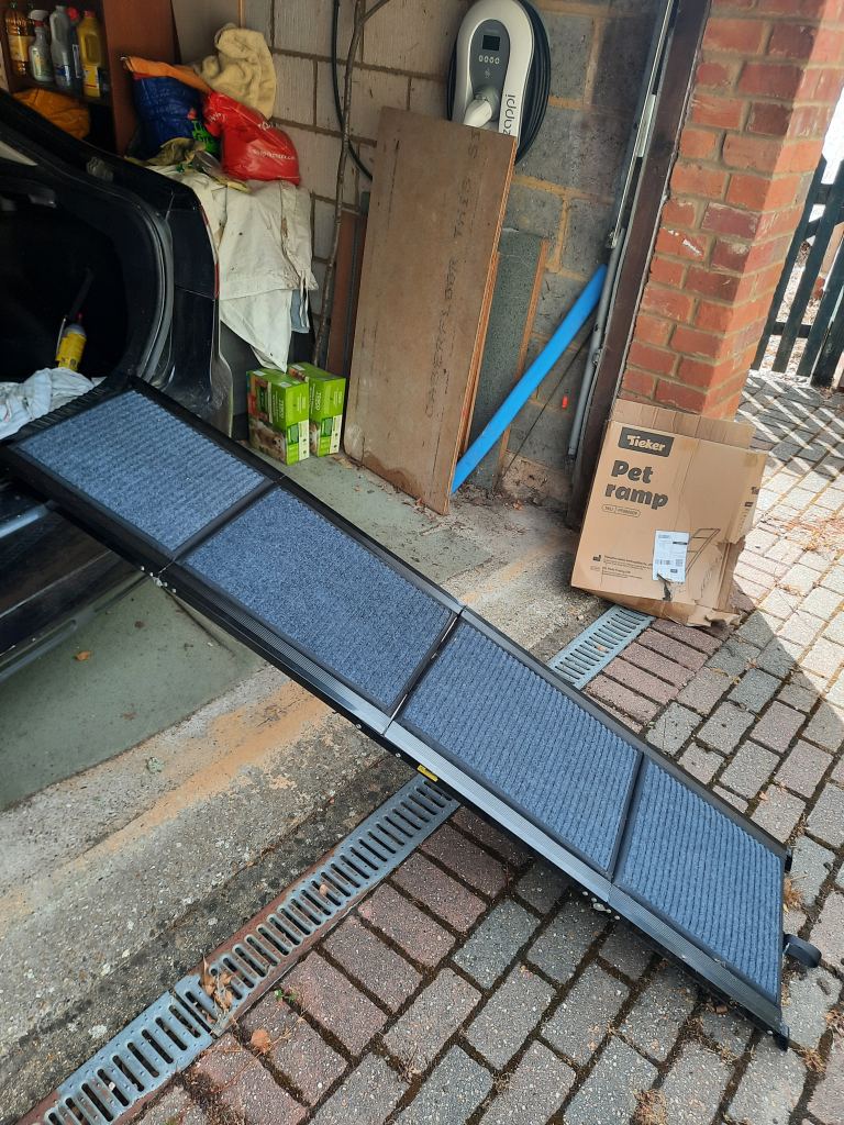 Dog ramp