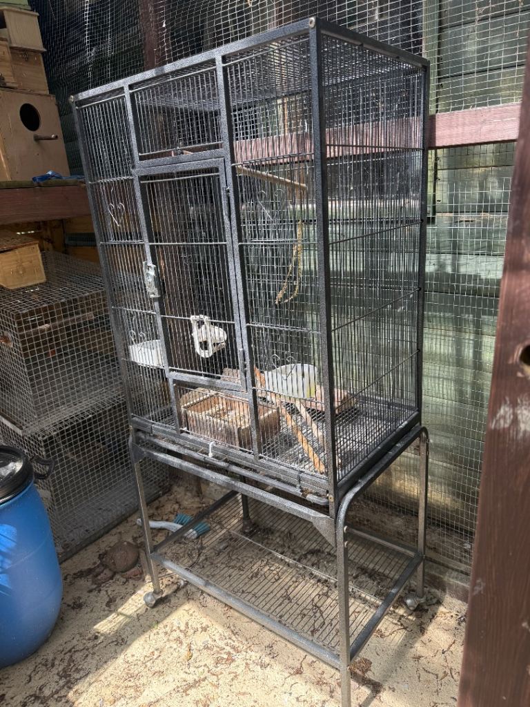 3 birds cages for sale 