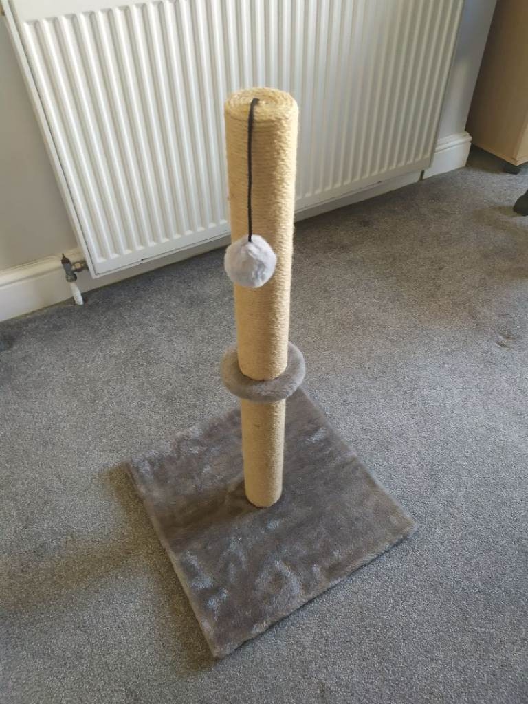 Scratch post for cats (or any pet that likes scratching)