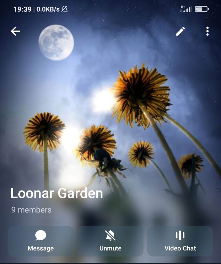 Gardening consultancy