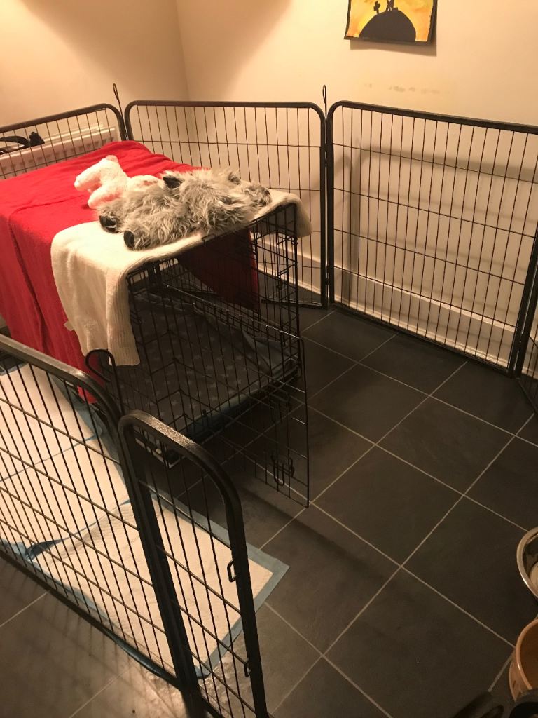 Large dog crate and enclosure 