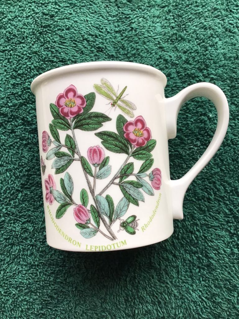 4 PORTMEIRION BOTANIC GARDEN TEA/COFFEE MUGS.