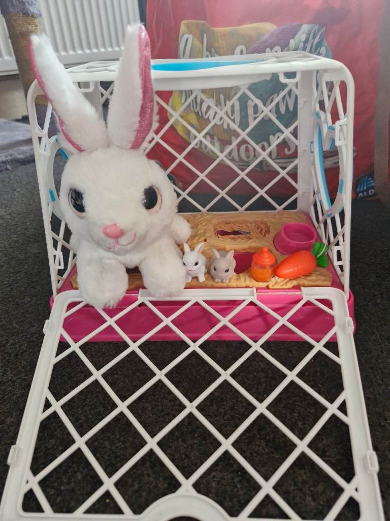 Pets alive rabbit with 2x babies