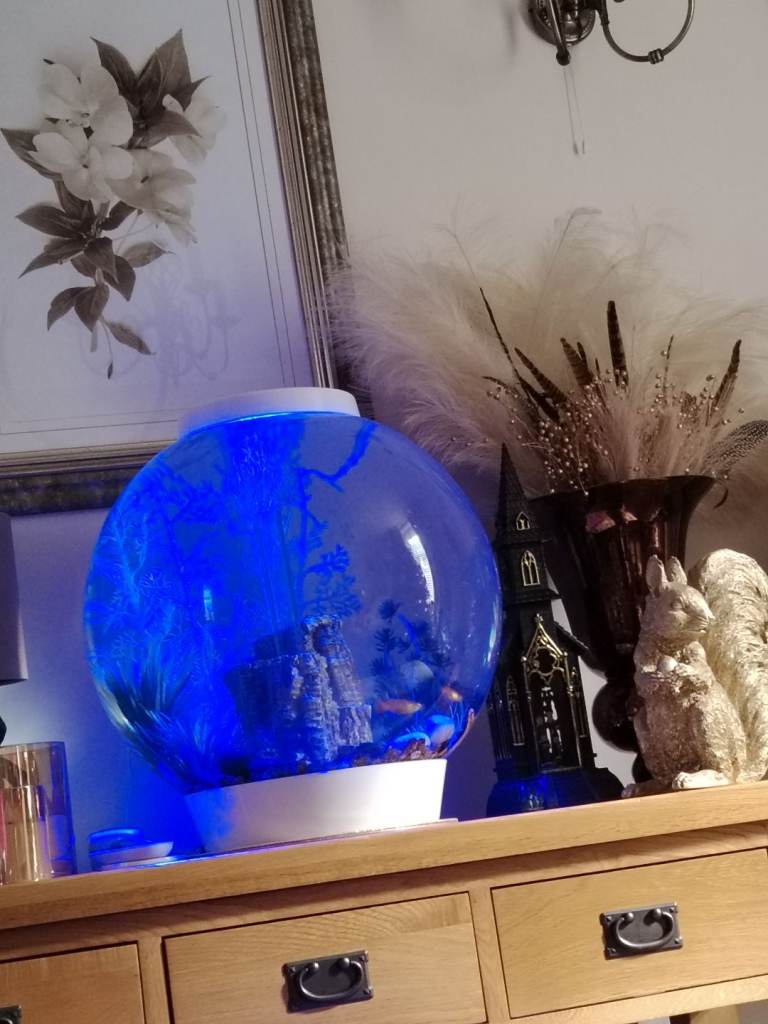 Round Fish Tank with  LED Lights
