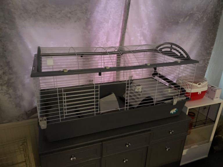 Guinea pig / Rabbit cage 