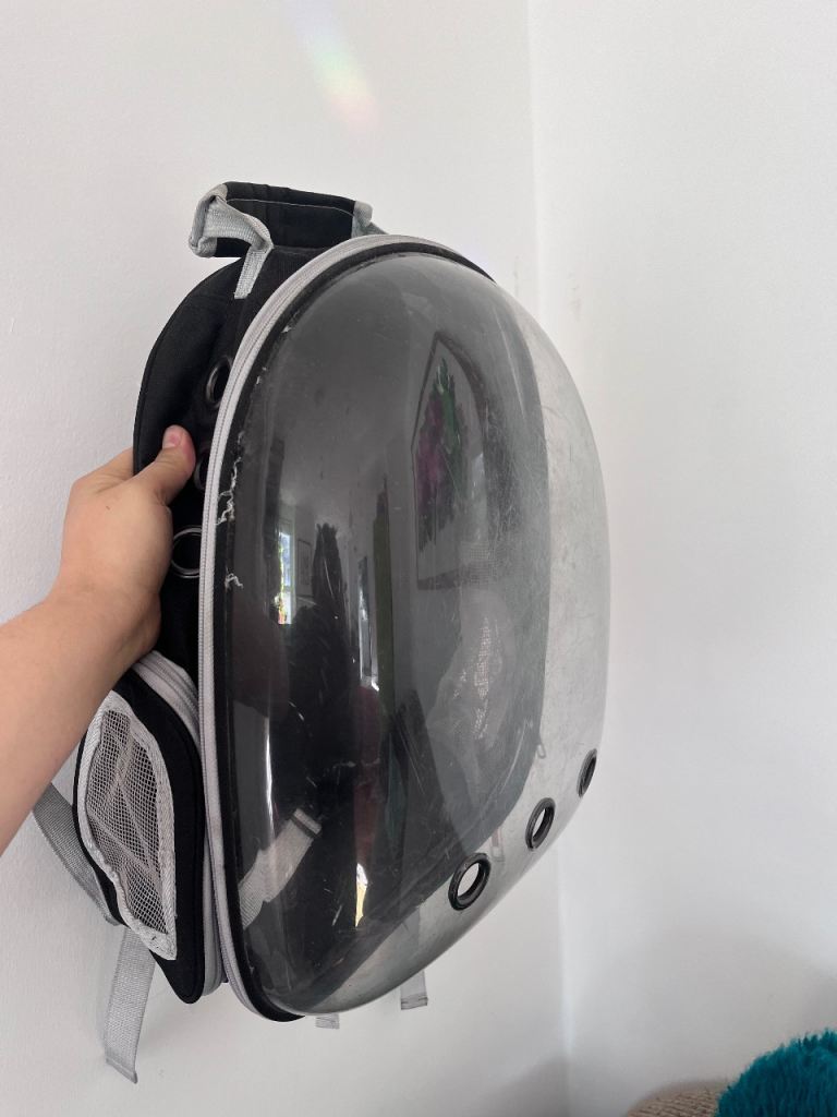 Cat carrier backpack - used 