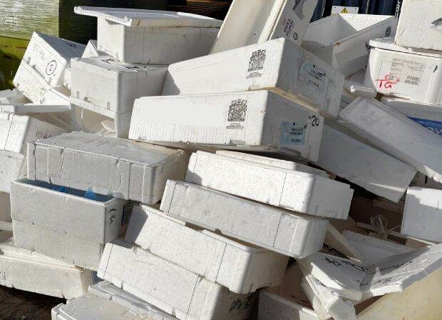 Free Polystyrene boxes