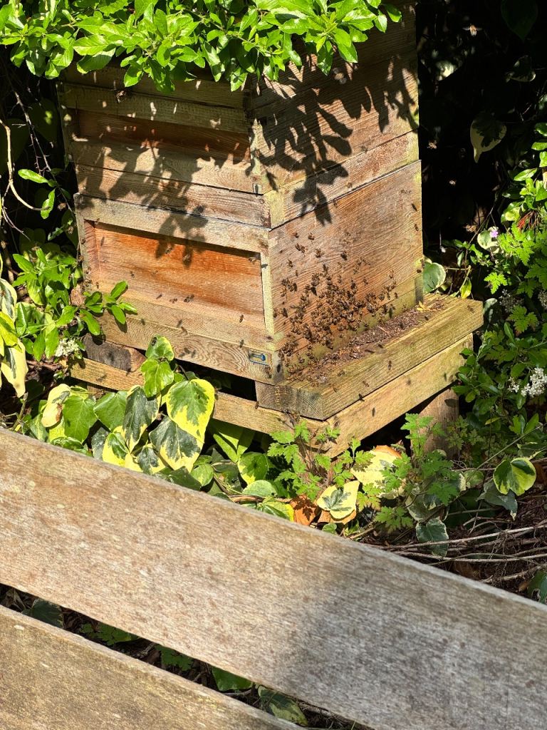 Bee hives with bees x2 