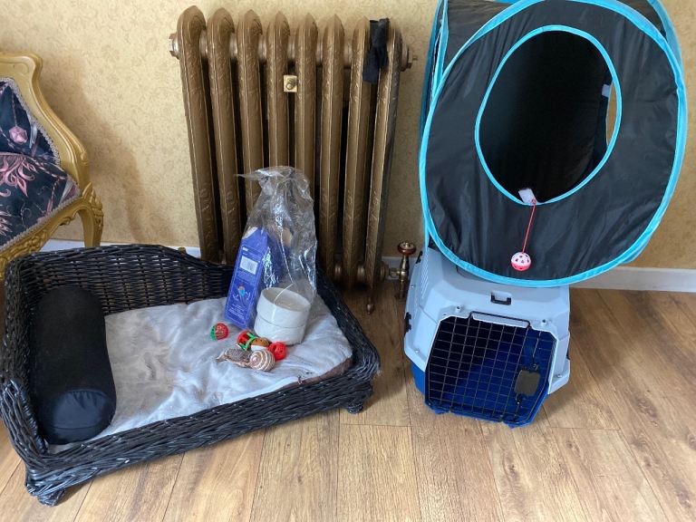 Cat bundle bed .cat /carrier cat/ tent. toys.
