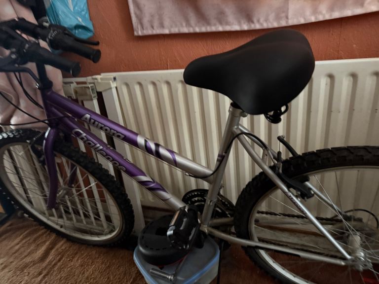 Women’s bike with stand