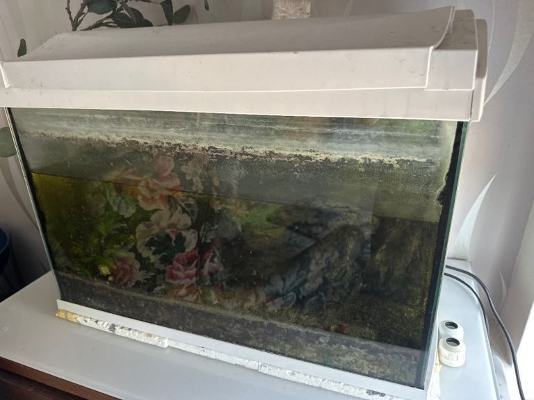 Small Aquarium with Lid – Fair Condition