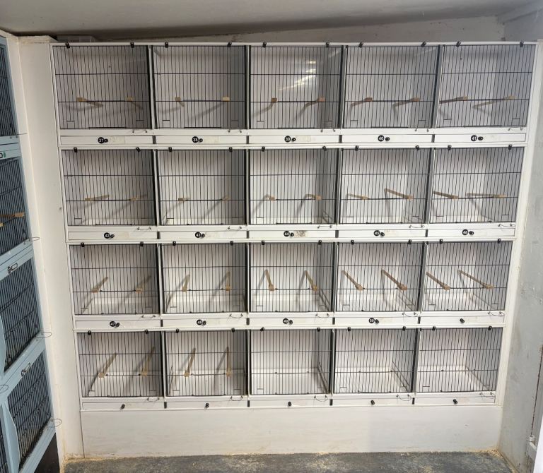 Breeding cages