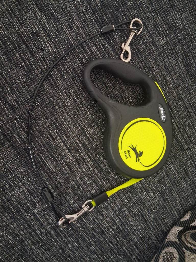 Flexi neon retractable dog lead