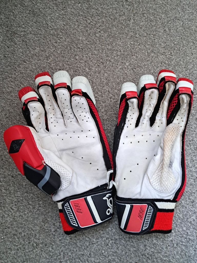 Cricket gloves 