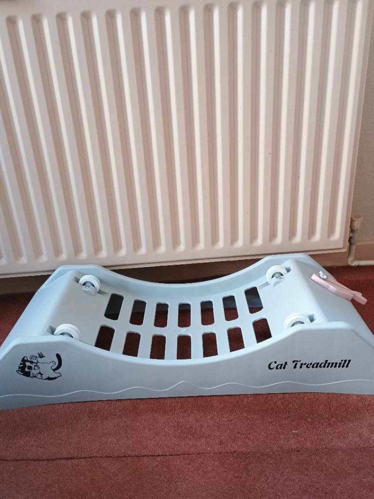 Cat treadmill,