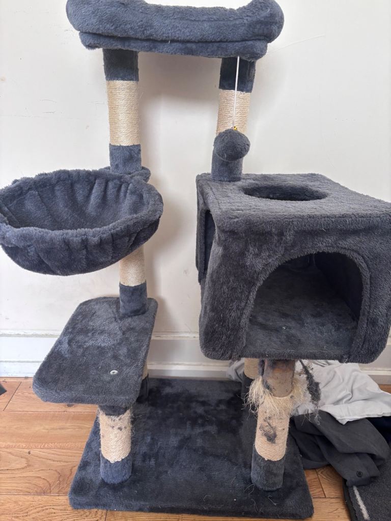 Free cat tree 